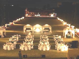 garden2.jpg